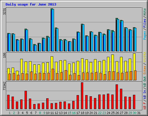 Daily usage for June 2013