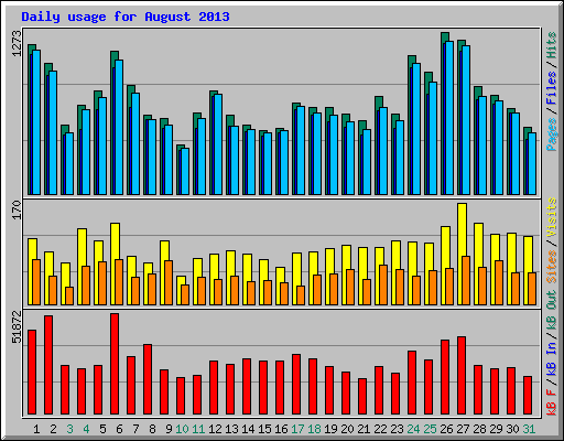 Daily usage for August 2013
