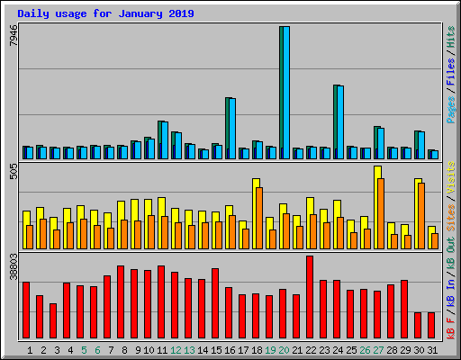 Daily usage for January 2019
