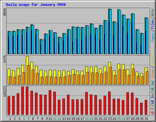 Daily usage for January 2020