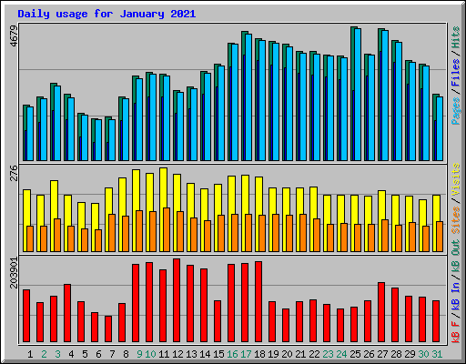 Daily usage for January 2021