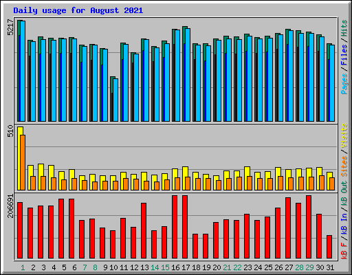 Daily usage for August 2021