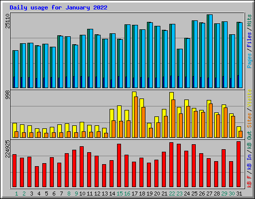 Daily usage for January 2022