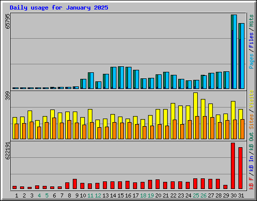Daily usage for January 2025