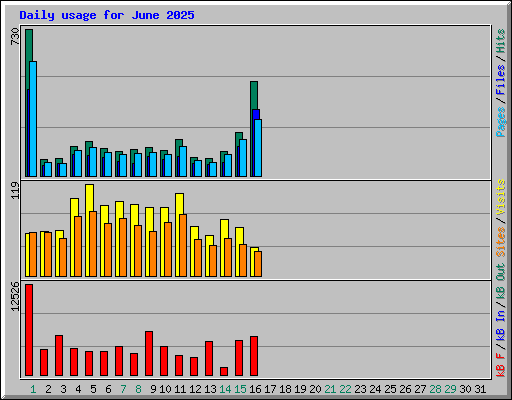Daily usage for June 2025