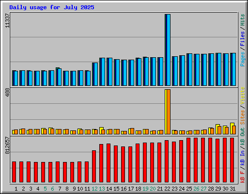 Daily usage for July 2025