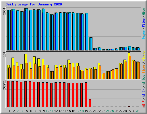 Daily usage for January 2026