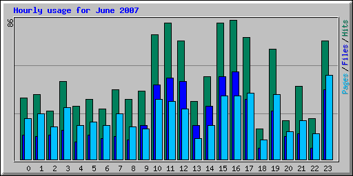 Hourly usage for June 2007