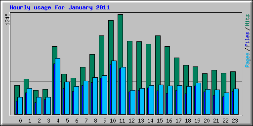 Hourly usage for January 2011