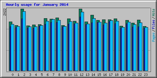 Hourly usage for January 2014