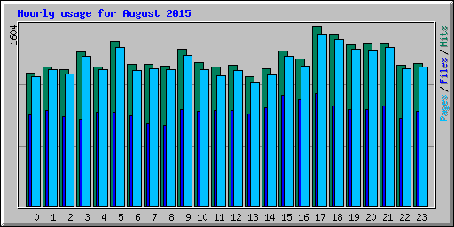Hourly usage for August 2015