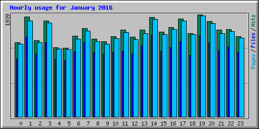 Hourly usage for January 2016