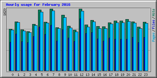 Hourly usage for February 2016