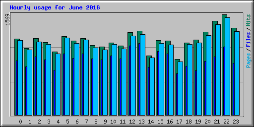 Hourly usage for June 2016