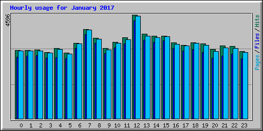 Hourly usage for January 2017