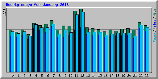 Hourly usage for January 2018