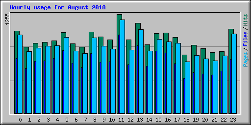 Hourly usage for August 2018
