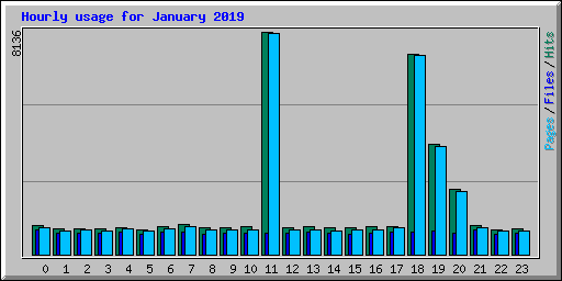 Hourly usage for January 2019