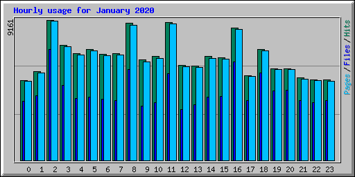 Hourly usage for January 2020
