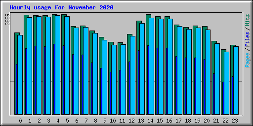 Hourly usage for November 2020