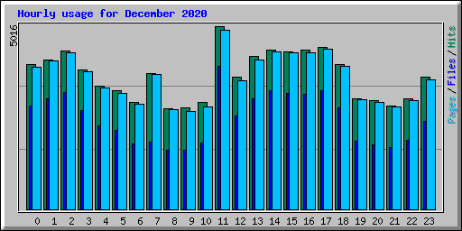 Hourly usage for December 2020