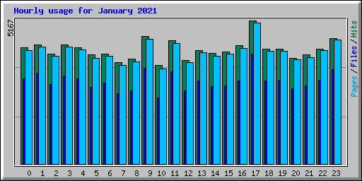 Hourly usage for January 2021
