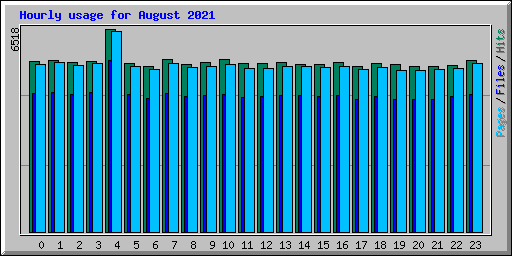Hourly usage for August 2021