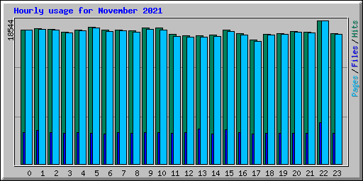 Hourly usage for November 2021