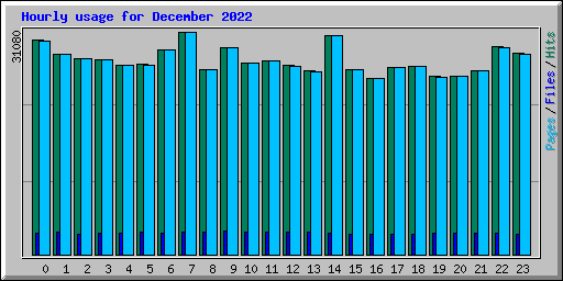 Hourly usage for December 2022
