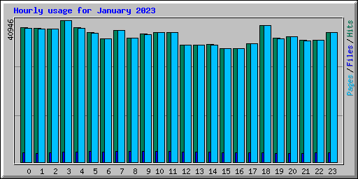 Hourly usage for January 2023