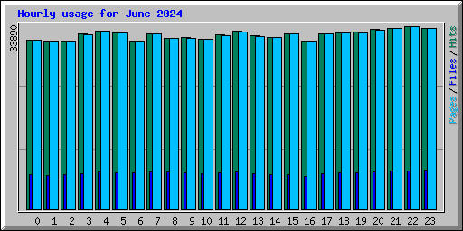Hourly usage for June 2024