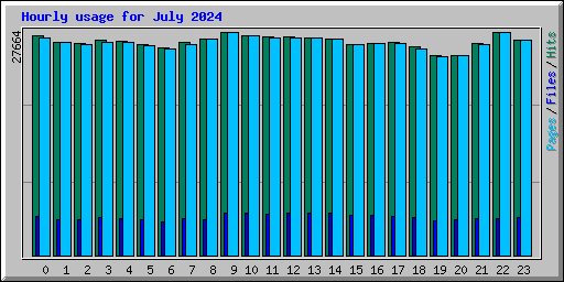 Hourly usage for July 2024