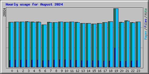 Hourly usage for August 2024