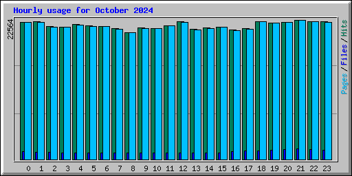 Hourly usage for October 2024