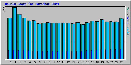 Hourly usage for November 2024
