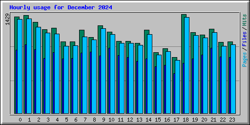 Hourly usage for December 2024