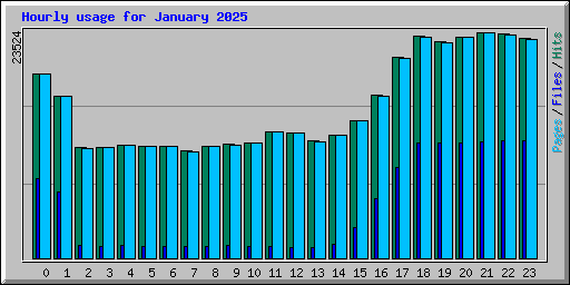 Hourly usage for January 2025