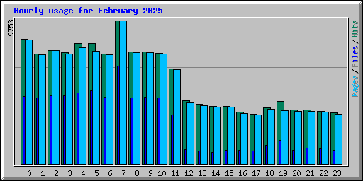 Hourly usage for February 2025