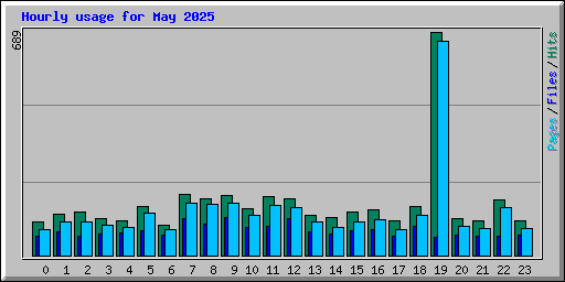 Hourly usage for May 2025