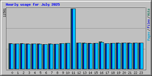 Hourly usage for July 2025