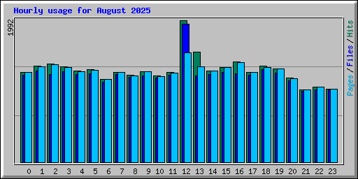 Hourly usage for August 2025
