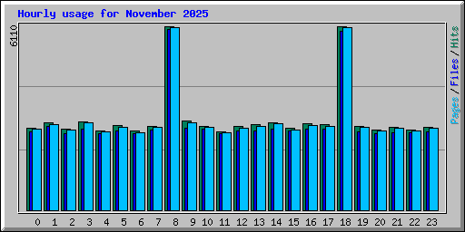 Hourly usage for November 2025