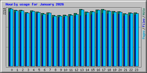 Hourly usage for January 2026